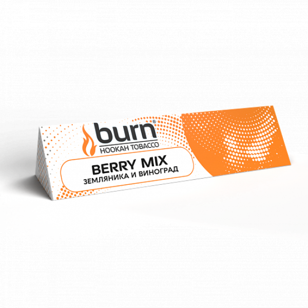 Табак BURN BERRYMIX 25 грамм в Казани