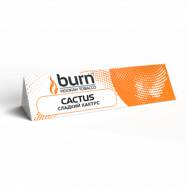 Табак BURN CACTUS 25 грамм в Казани