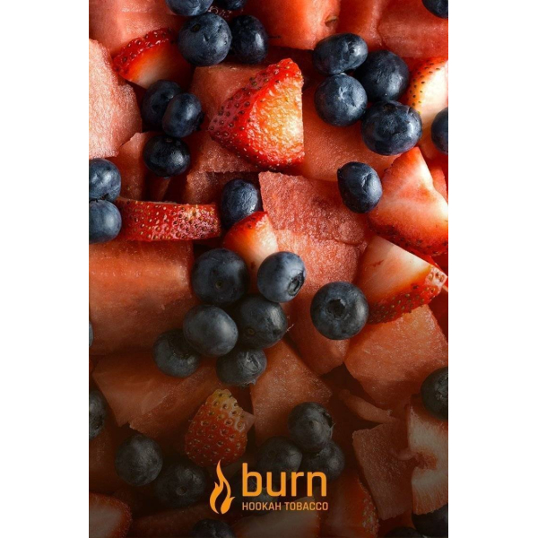 Табак Burn Berried Treasure 100 грамм в Казани