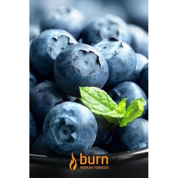 Табак Burn Blueberry Mint 100 грамм в Казани