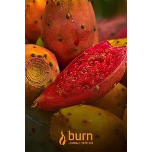 Табак Burn Cactus 100 грамм в Казани