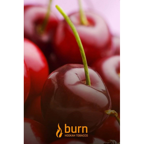Табак Burn Candy Cherry 100 грамм в Казани