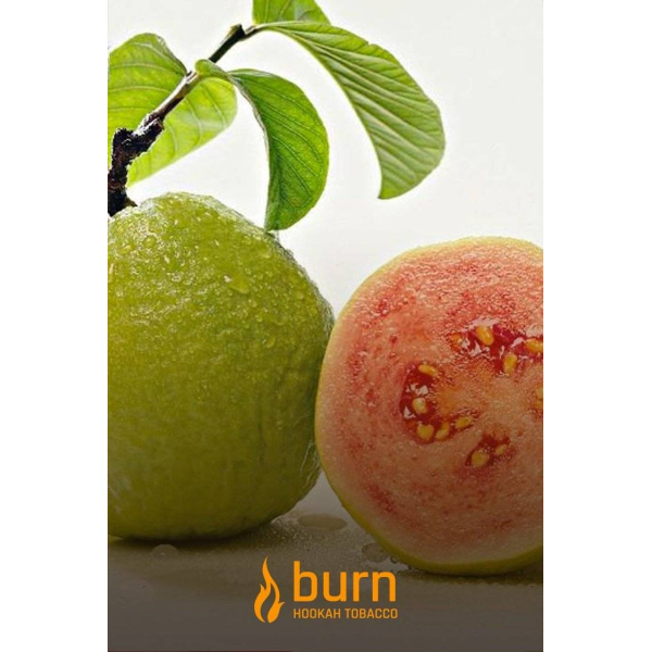 Табак Burn Guava 100 грамм в Казани