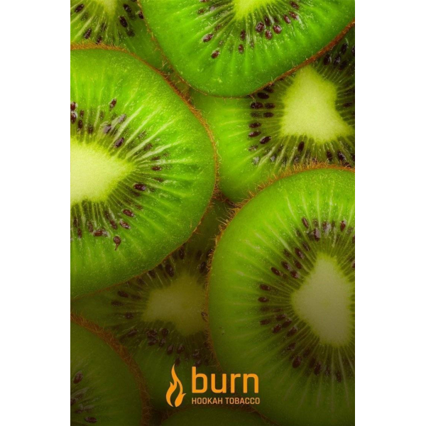 Табак Burn Kiwi 100 грамм в Казани