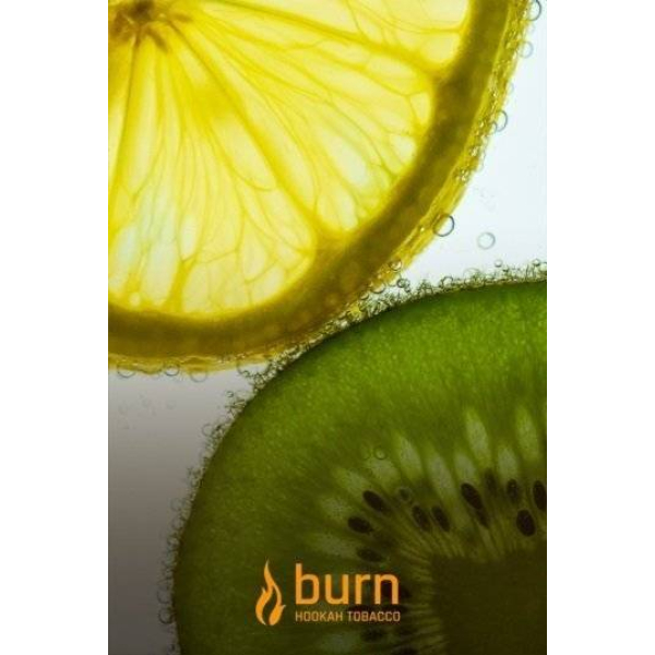Табак Burn Kiwi Lemon 100 грамм в Казани