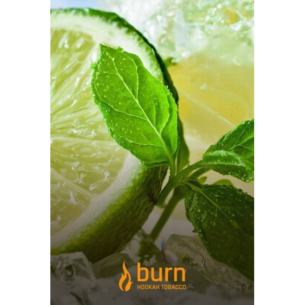Табак Burn Lemon Mint 100 грамм в Казани