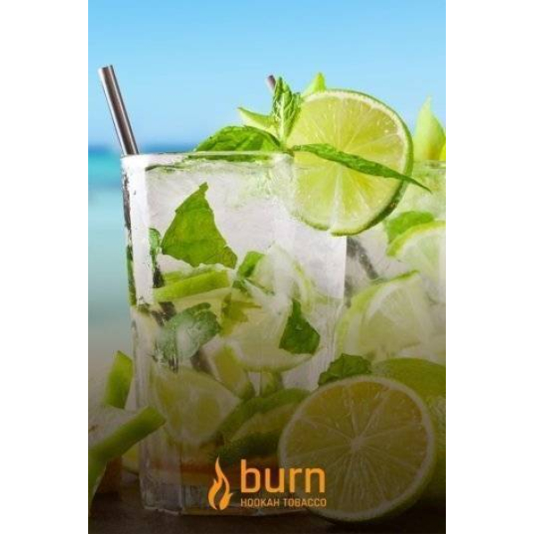 Табак Burn Mojito 100 грамм в Казани