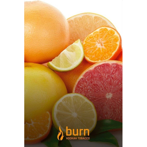 Табак Burn SundaySun 100 грамм в Казани