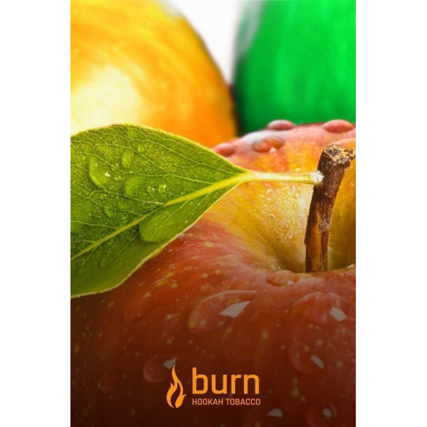 Табак Burn Three Apples 100 грамм в Казани