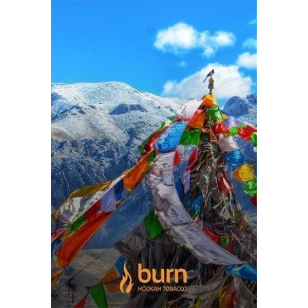 Табак Burn Tibet 100 грамм в Казани
