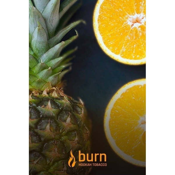 Табак Burn White Night 100 грамм в Казани