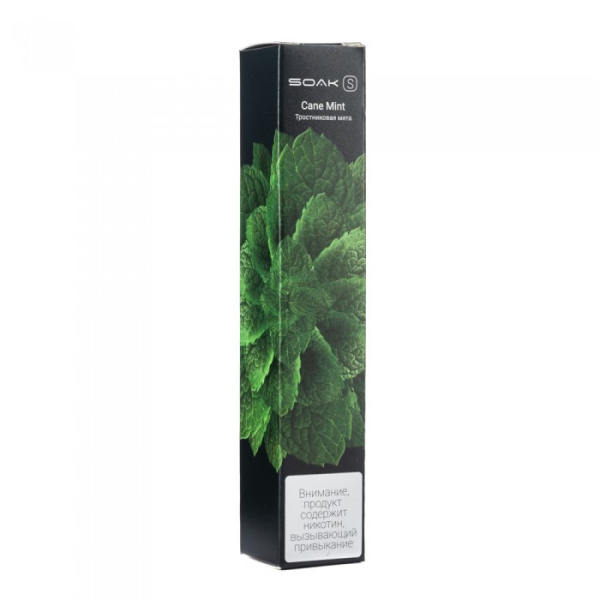SOAK S Cane Mint (Тростниковая мята), 2500 тяг в Казани