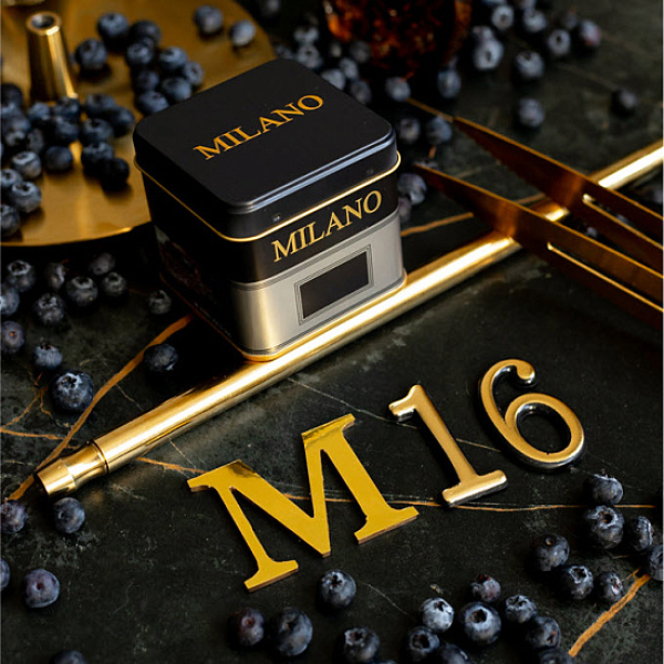Табак MILANO GOLD М16 BILBERRY 100 гр в Казани