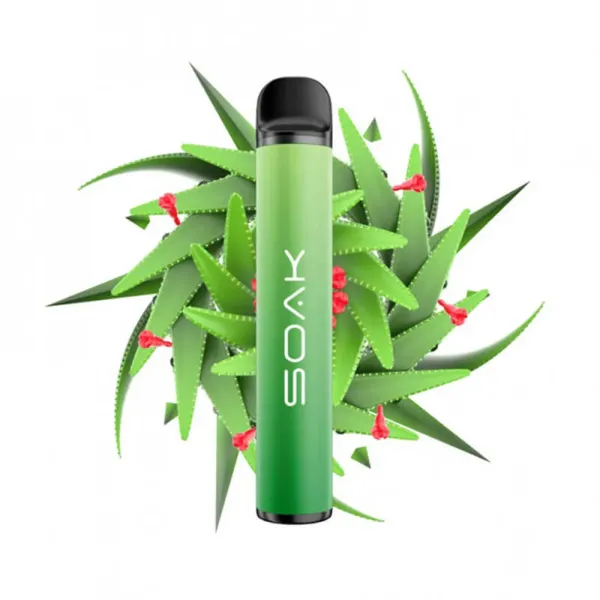 SOAK X Aloe Vera (Алое Вера), 1500 тяг в Казани