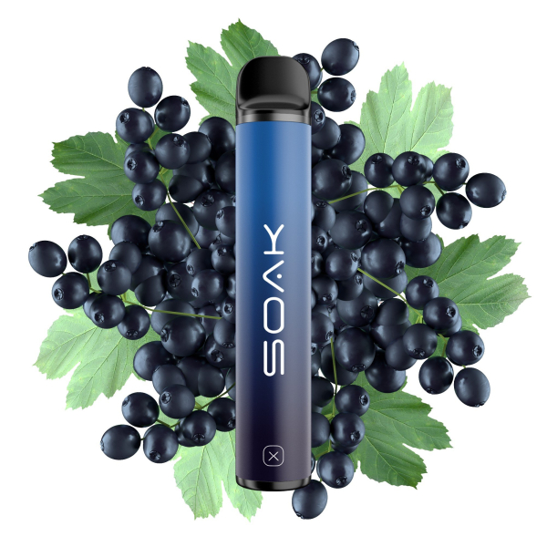 SOAK X Forest Blackcurrant (Лесная черная смородина), 1500 тяг в Казани
