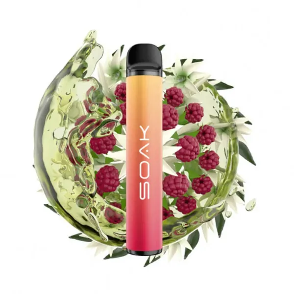 SOAK X Jasmin Raspberry Tea (Жасминовый чай с малиной), 1500 тяг в Казани