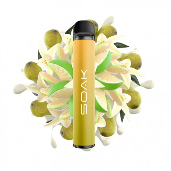 SOAK X Vanilla Pear (Ванильная груша с лаймом), 1500 тяг в Казани