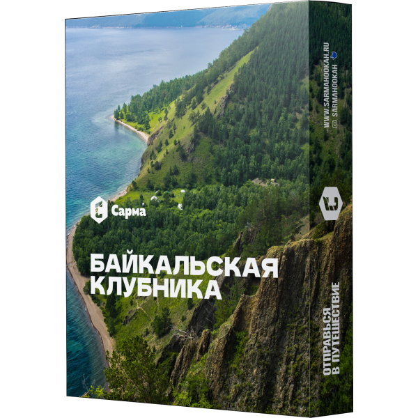 Табак Сарма Байкальская Клубника 25 гр в Казани