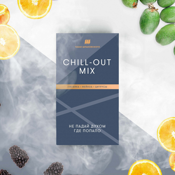 Табак Шпаковского Chill Out (Ежевика Фейхоа Цитрусы) 40 грамм в Казани