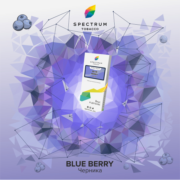 Табак Spectrum Classic Blue Berry 100 грамм в Казани