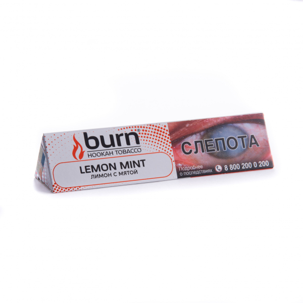 Табак Burn Lemon Mint  25 грамм в Казани