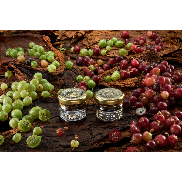 Табак WTO CARIBBEAN BLEND CB15 Крыжовник 20 грамм в Казани